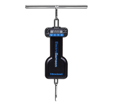 ElectroSamson scale image