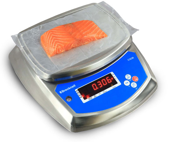 c3236 scale image with salmon