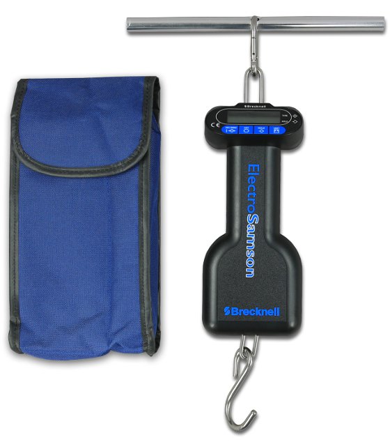 ElectroSamson image with blue bag