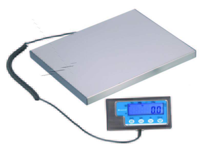 Brecknell scales best sale