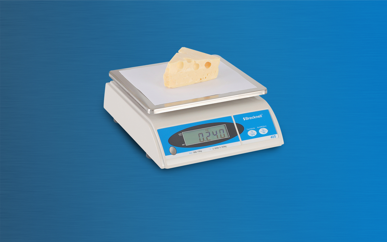 American Weigh Hanging Digital Scale H-110