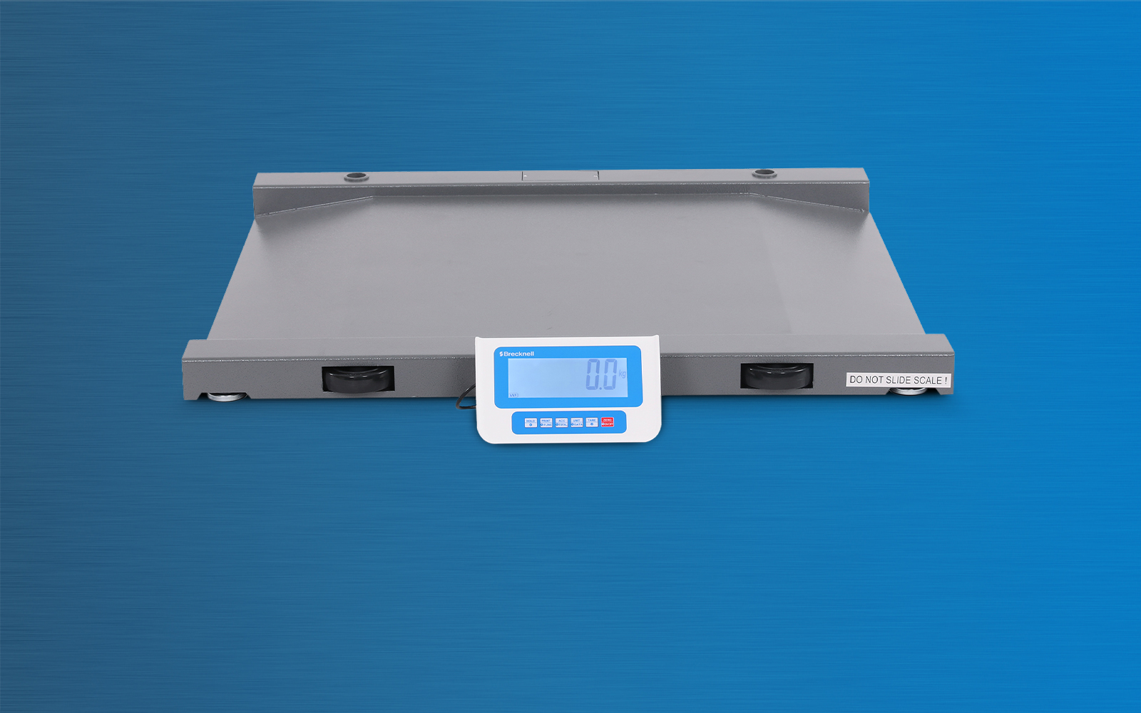 Salter Brecknell 500g Egg Weighing Scale — Dalton Engineering